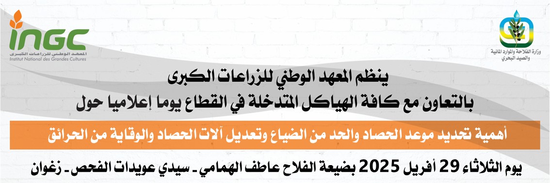 ingc_news