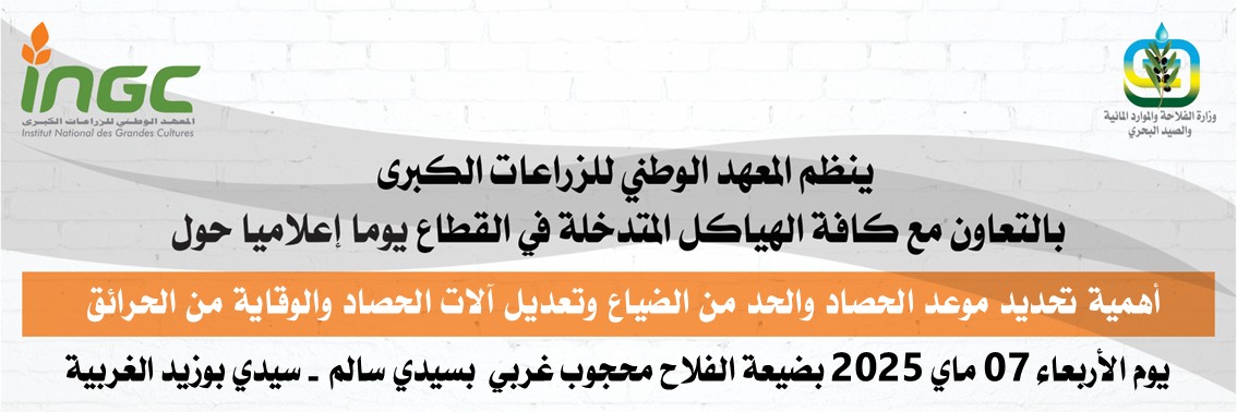 ingc_news