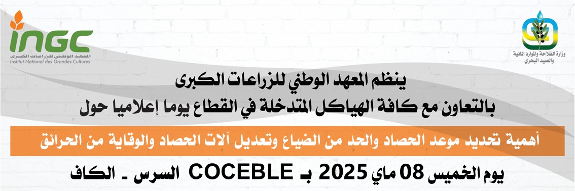 ingc_news