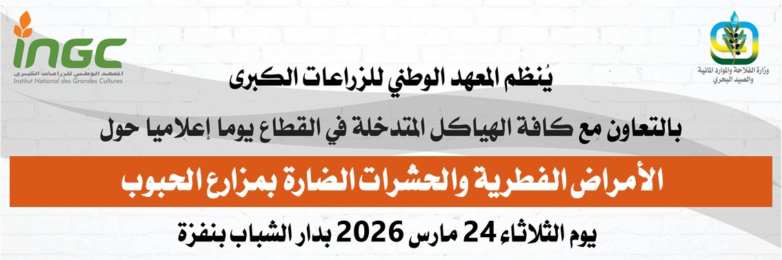 news_ingc