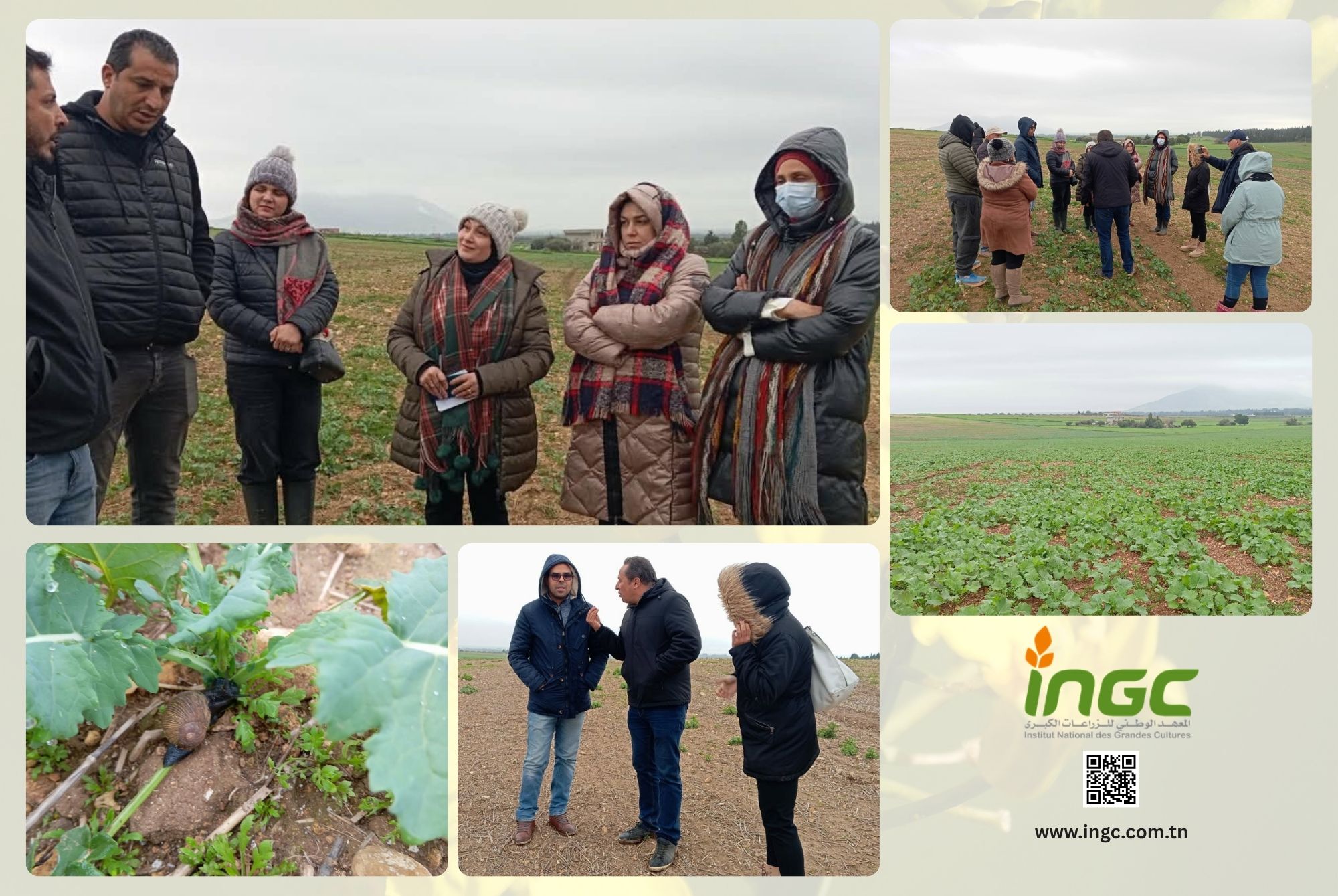 news_ingc