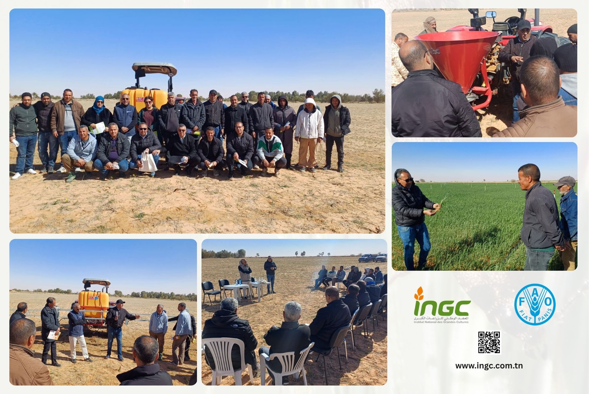 ingc_news
