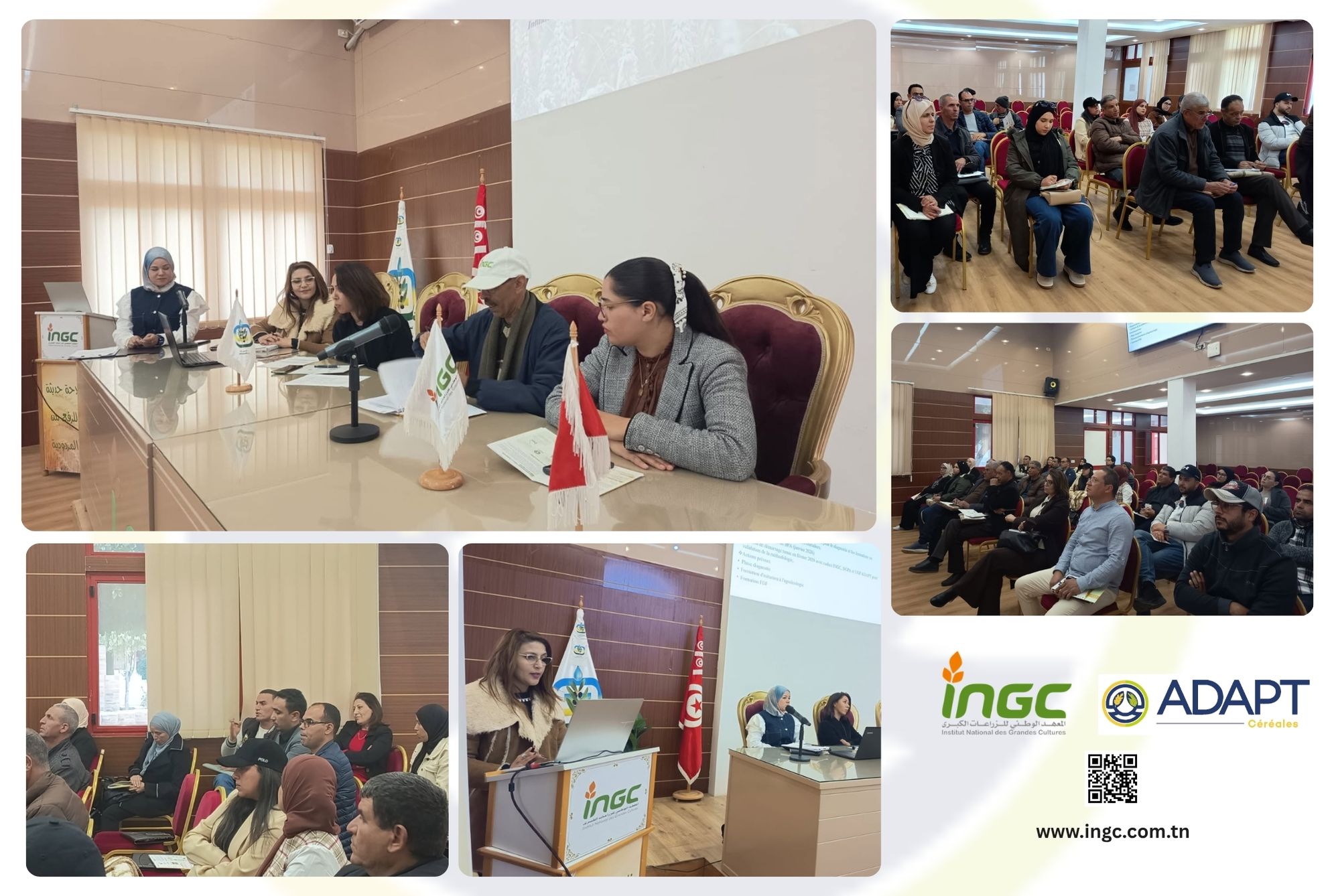 news_ingc